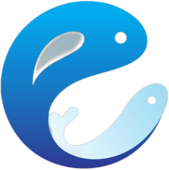 ico